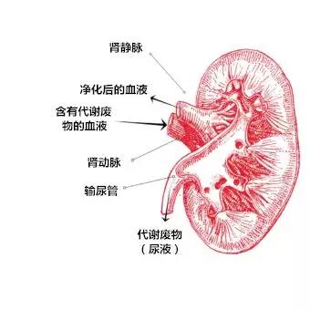 微信图片_20190315081351.jpg