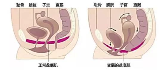 微信图片_20190713080035.jpg