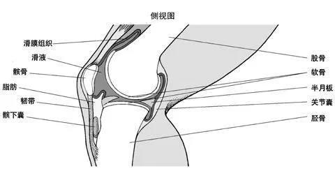 微信图片_20200601081301.jpg